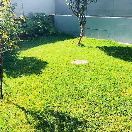 Nice, Quiet And Confortable Apartment Braga